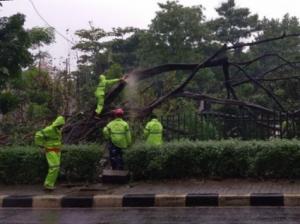 Peringatan Dini, BMKG: Jakarta Dilanda Hujan Petir pada Senin Siang