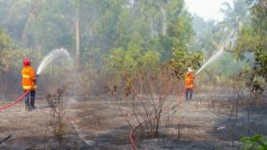 Tidak Diketahui Penyebabnya, 1,5 Hektar Lahan Ilalang Di Pulau Tidung Terbakar