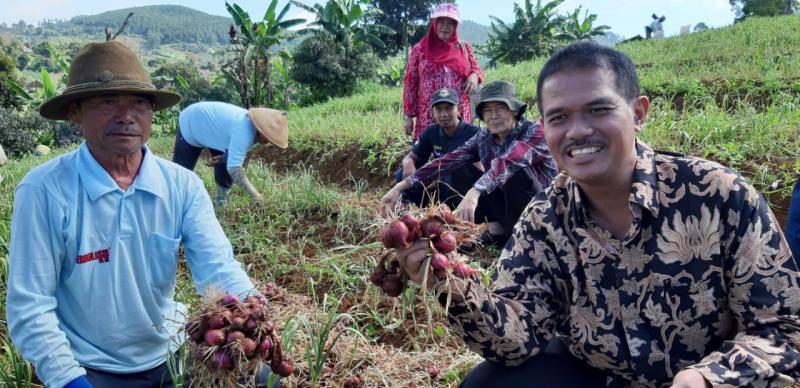 Dorong Budidaya Tumpang Sari, Kementan Jamin Pasokan Bawang Merah dan Bawang Putih