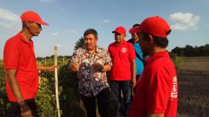Asosiasi Champion Cabai: Kinerja Menteri Pertanian Atasi Cabai Sangat Dirasakan 