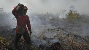 Pemkab Kotim Telusuri Dugaan Kebakaran Hutan Tanaman Industri Seluas 70.000 Hektare 