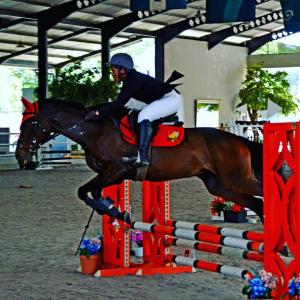 APM Equestrian Competition 2019, Persiapan Kontingen Pordasi Banten