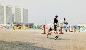 Pordasi Selenggarakan Kejuaraan Nasional Equestrian 2019