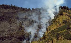 Kebakaran Hutan Di Gunung Semeru Hanguskan Lahan 93 Hektar
