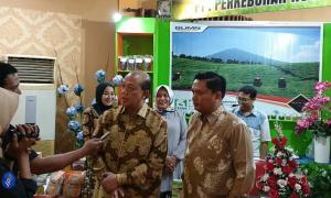 PTPN VI Tanam Kopi di Lahan 1000Ha untuk Penuhi Pangsa Pasar Jambi