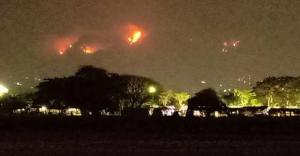 Kebakaran Hutan Lindung di Gunung Wilis Jawa Timur Semakin Meluas