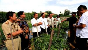 Komite II DPD RI Dorong Lampung Kembangkan  Pertanian Unggulan