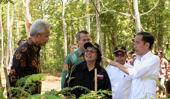 Pulihkan DAS Keduang, Jokowi Ajak Masyarakat Tanam dengan Skema Agroforestri