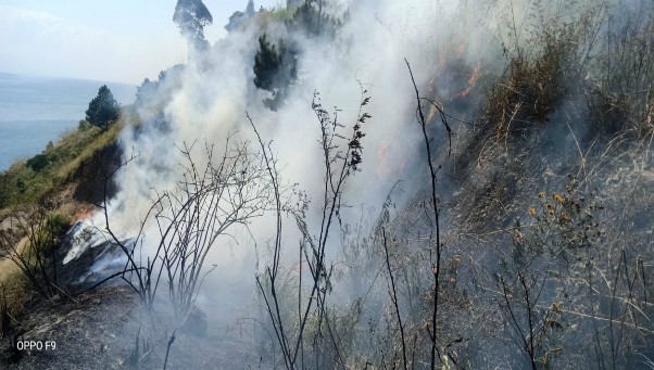 Kawasan Hutan dan Lahan Dusun Sigumoi di Sumut Terbakar