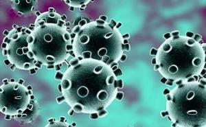 Mengenal Perbedaan Virus vs. Bakteri, Ini Penjelasan Ilmuwan