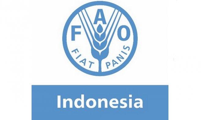 FAO Indonesia Tegaskan Tidak Pernah Keluarkan Data Pasien Corona Berdasarkan Kelas Ekonomi