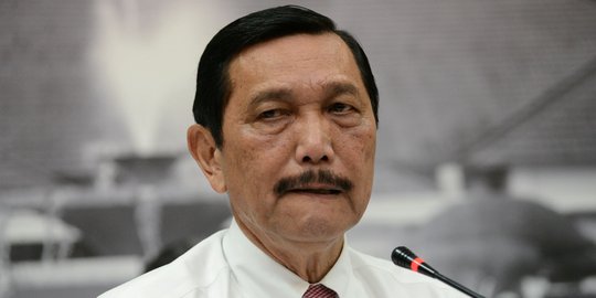 Menteri Luhut  Bilang Ekspor Benih Lobster Dihentikan Sementara