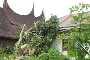 Angin Puting Belitung Terjang Tanahdatar, Sumatera Barat