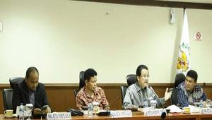 Pertimbangan Anggaran, Komite I DPD Minta Pilkada Serentak Ditunda Tahun 2021