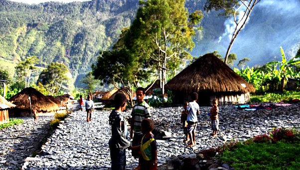 Dukung Kebijakan Dana Otsus Papua, DPD Minta Perbaikan Regulasi