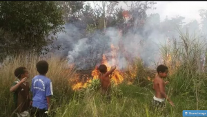 Top! Aksi Heroik Bocah Papua Padamkan Kebakaran Hutan Tuai Pujian