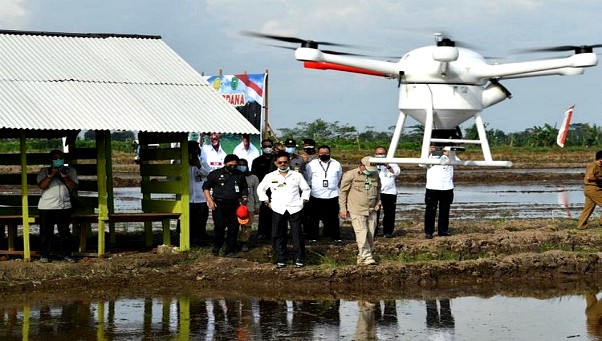 Guru Besar IPB: Program Food Estate di Kalteng Akan Berakhir Gagal