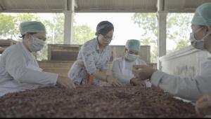 Berdayakan 600 Petani Kakao, LPEI Raih Penghargaan Global CSR Award