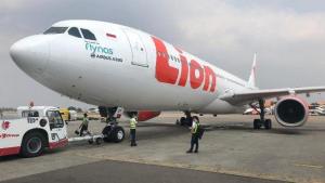 Mesin Rusak, Lion Air Mendarat Darurat