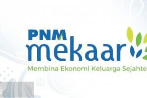Penyaluran Pinjaman PNM Program MekaaR sejak Juli hingga Agustus Capai 11,3 Triliun