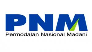 PNM Targetkan Penyaluran di 2021 Tembus Rp38 Triliun