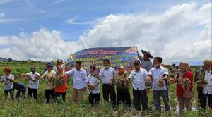 Kadis Pertanian Sumbar Aspresiasi Kelompok Tani Bujang Juaro Nagari Pandai Sikek kecamatan X Koto