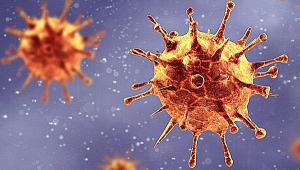 Varian Baru Virus Corona Beredar, DPR Ingatkan Pemerintah Tidak Lengah