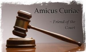 ICJR Kirimkan "Amicus Curiae" Tingkat Kasasi untuk Kasus Jerinx