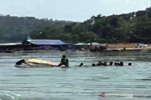 Tragis! Perahu Wisatawan Terbalik di Waduk Kedungombo,  9 Orang Dinyatakan Hilang 