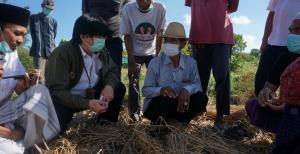 Dapat Aduan Soal Irigasi dari Petani Tembakau, KSP Temui Pemda Lombok Timur