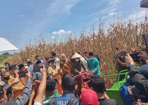 Kunjungan Wamentan ke Desa Agrowisata Pekanbaru Riau