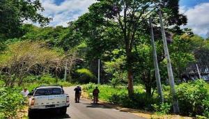 FLAI Desak Badan Otorita Pariwisata Labuan Bajo Hentikan Aktivitas di Kawasan Bowosie