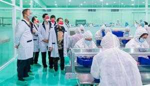 Industri Alat Kesehatan Ekspor Antigen Rapid Test ke Thailand dan Irlandia