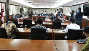 Komite I DPD Ungkap Kendala Penyelenggaraan Pemerintah Daerah Masa Pandemi
