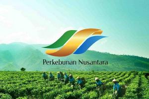 Sinergi PTPN III Bersama Petani Tebu Wujudkan Kemandirian Gula Konsumsi Nasional 2024