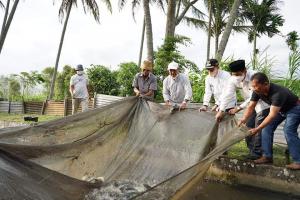 Bupati Tanah Datar Eka Putra Panen Ikan Nila di Jorong Koto Gadih Nagari Lima Kaum Kecamatan Lima Kaum