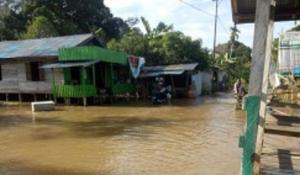  Banjir Rendam 7 Kecamatan di Kabupaten Katingan, Kerugian Material Masih Didata