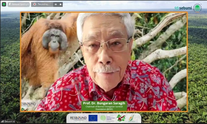 Gelar Tour Virtual, RSPO Dorong Penambahan Penyerapan Kelapa Sawit Berkelanjutan Bersertifikat