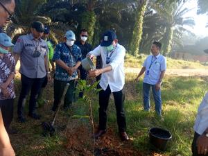 Kolaborasi BUMN Hijaukan Indonesia, PTPN VI Jambi Gelar Penanaman dan Open Donasi Pohon