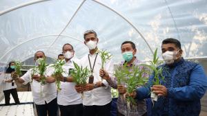 Kolaborasi BTN dan PNM Luncurkan Greenhouse Hidroponik Desa Sajira, Lebak