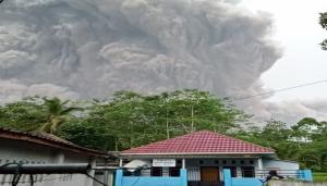 Gunung Semereu Meletus, Masyarakat Kecamatan Pronojiwo Kabupaten Lumajang Terdampak