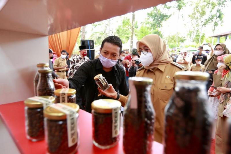 Studi Banding Kopi, PTPN VI Kunker Ke Banyuwangi