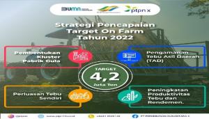 PTPN X Terapkan Empat Strategi Capai Target 4,2 Juta Ton Tebu
