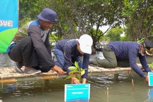 PNM Buktikan Tanggung Jawab Sosial dan Lingkungan Dengan Gerakan Menanam 10.000 Pohon Mangrove Untuk Indramayu