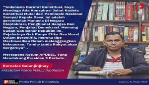 Tanggapi Rencana APDESI Deklarasi Jokowi Tiga Periode, Korneles: Ini Kudeta Konstitusi