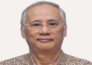 Luhut Binsar Panjaitan Diangkat sebagai Ketua Percepatan Pembangunan PLTN, Mengapa Muncul Lagi Isu PLTN di Indonesia?