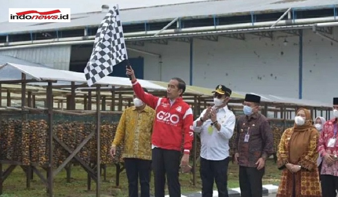 Presiden Jokowi Lepas Ekspor Pinang Biji di Muarojambi