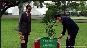 Diterima di Istana Bogor, Jokowi Ajak PM Jepang Tanam Pohon