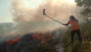 Lima Hektar Lahan di Kalteng Kebakaran, Waspada Awal Musim Kemarau
