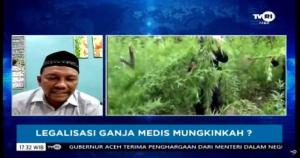 Senator Aceh Sebut Perlu Ganja untuk Keperluan Medis